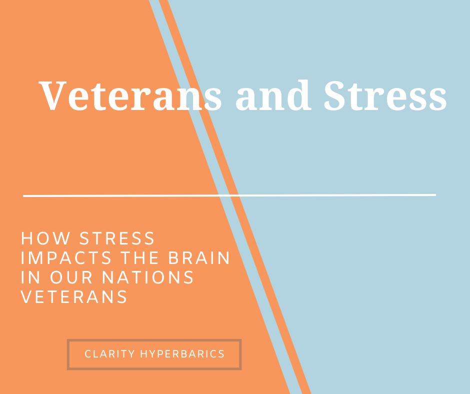 Veterans and Stress: The Brain Damage Connection